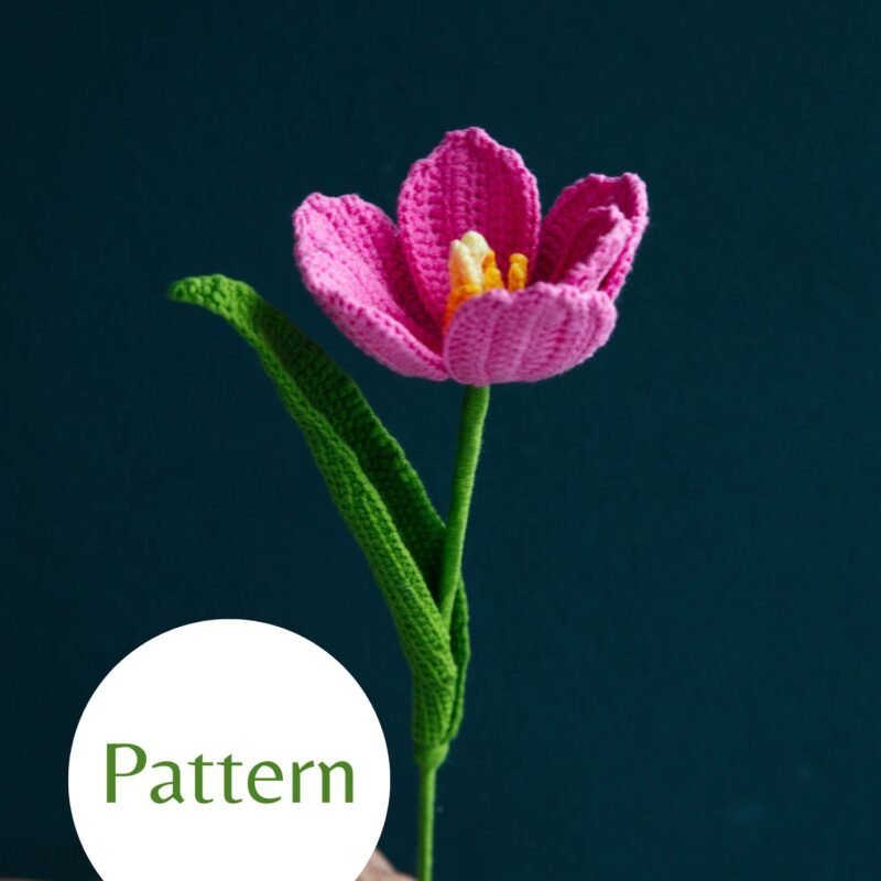 Tulip